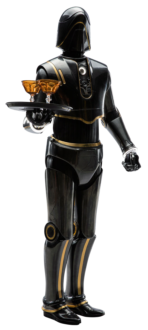 SE8 waiter droid