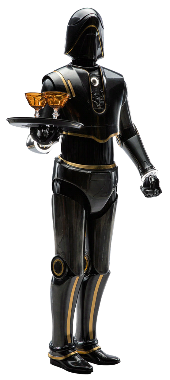 SE8 waiter droid